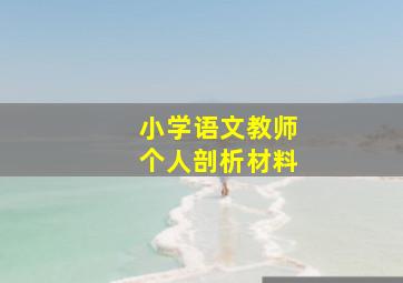 小学语文教师个人剖析材料