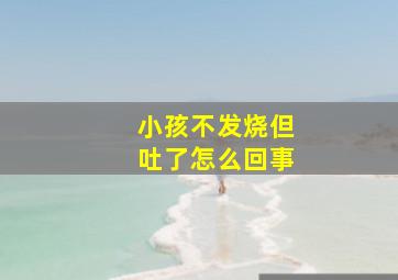 小孩不发烧但吐了怎么回事