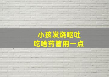 小孩发烧呕吐吃啥药管用一点