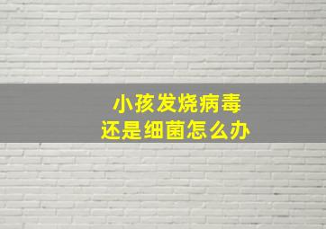 小孩发烧病毒还是细菌怎么办