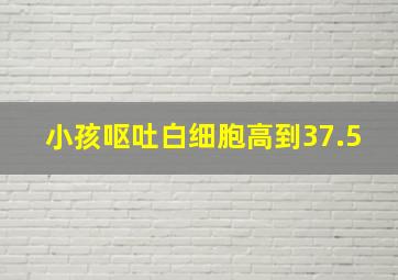 小孩呕吐白细胞高到37.5