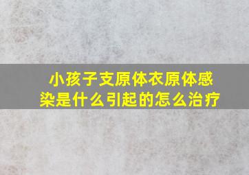 小孩子支原体衣原体感染是什么引起的怎么治疗