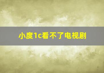 小度1c看不了电视剧