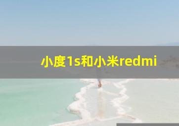 小度1s和小米redmi