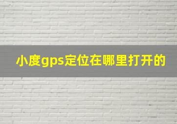 小度gps定位在哪里打开的