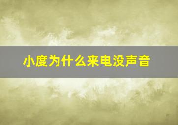 小度为什么来电没声音