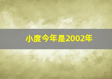 小度今年是2002年