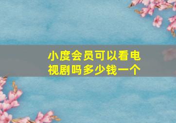 小度会员可以看电视剧吗多少钱一个