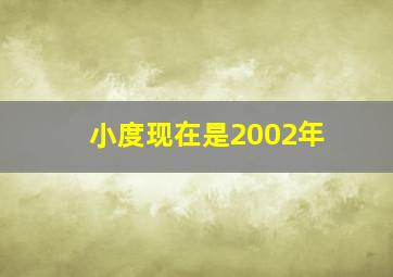 小度现在是2002年