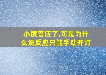 小度答应了,可是为什么没反应只能手动开灯