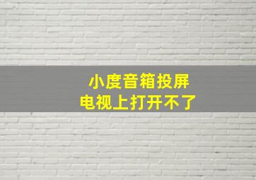 小度音箱投屏电视上打开不了