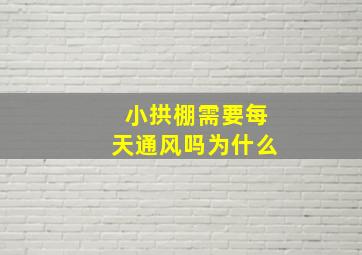 小拱棚需要每天通风吗为什么