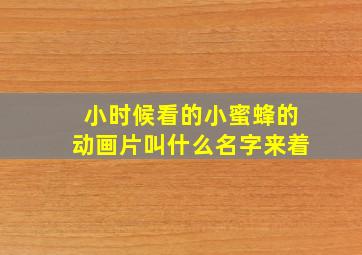 小时候看的小蜜蜂的动画片叫什么名字来着