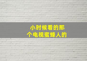 小时候看的那个电视蜜蜂人的