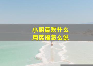 小明喜欢什么用英语怎么说