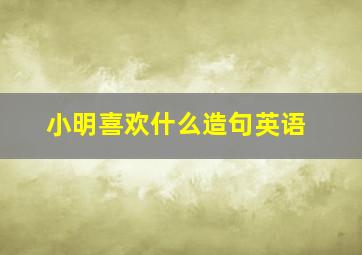 小明喜欢什么造句英语