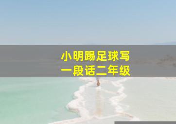 小明踢足球写一段话二年级