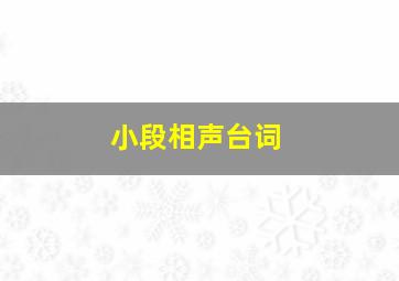 小段相声台词