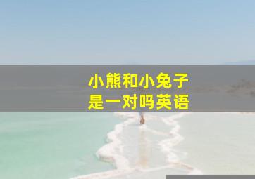 小熊和小兔子是一对吗英语