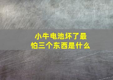 小牛电池坏了最怕三个东西是什么