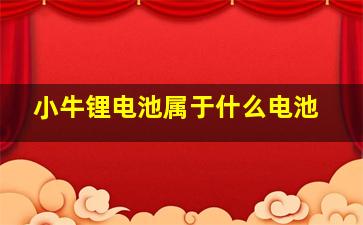 小牛锂电池属于什么电池