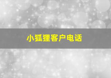 小狐狸客户电话