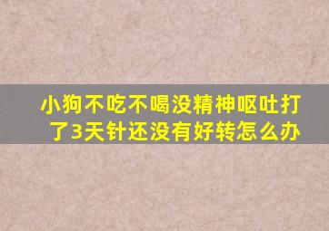 小狗不吃不喝没精神呕吐打了3天针还没有好转怎么办