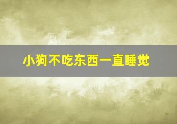 小狗不吃东西一直睡觉