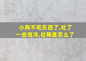 小狗不吃东西了,吐了一些泡沫,拉稀是怎么了