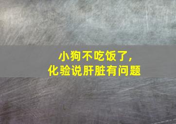 小狗不吃饭了,化验说肝脏有问题