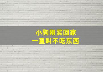 小狗刚买回家一直叫不吃东西