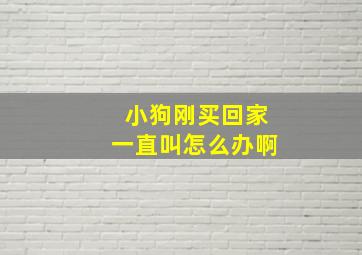 小狗刚买回家一直叫怎么办啊