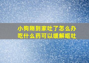 小狗刚到家吐了怎么办吃什么药可以缓解呕吐