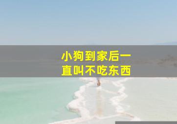 小狗到家后一直叫不吃东西