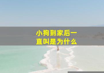 小狗到家后一直叫是为什么