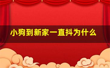 小狗到新家一直抖为什么