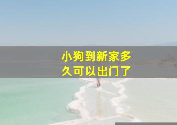 小狗到新家多久可以出门了