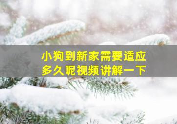 小狗到新家需要适应多久呢视频讲解一下