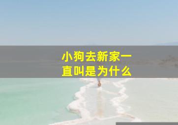 小狗去新家一直叫是为什么