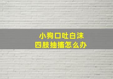 小狗口吐白沫四肢抽搐怎么办