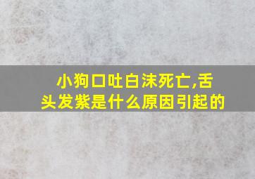 小狗口吐白沫死亡,舌头发紫是什么原因引起的