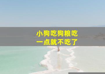 小狗吃狗粮吃一点就不吃了