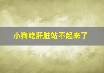 小狗吃肝脏站不起来了