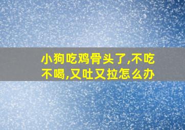 小狗吃鸡骨头了,不吃不喝,又吐又拉怎么办