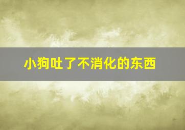 小狗吐了不消化的东西