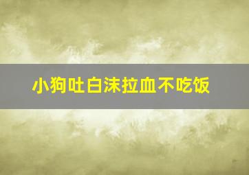 小狗吐白沫拉血不吃饭