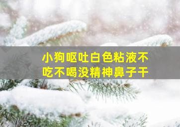 小狗呕吐白色粘液不吃不喝没精神鼻子干