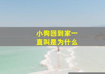 小狗回到家一直叫是为什么