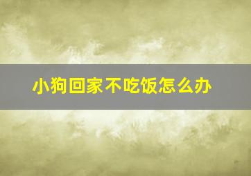 小狗回家不吃饭怎么办