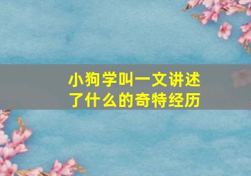 小狗学叫一文讲述了什么的奇特经历